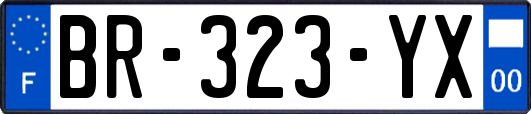 BR-323-YX