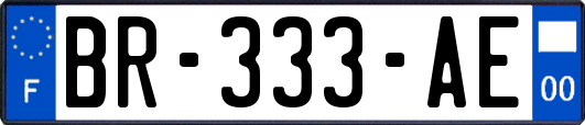 BR-333-AE