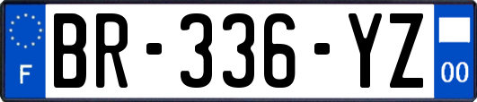 BR-336-YZ