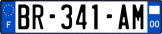BR-341-AM