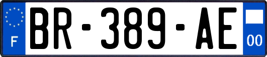 BR-389-AE