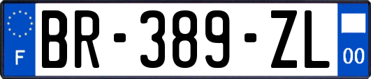 BR-389-ZL