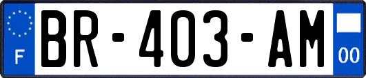 BR-403-AM