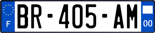 BR-405-AM