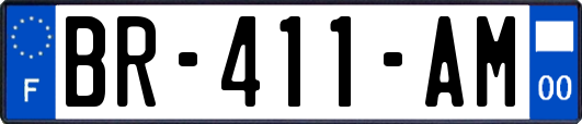 BR-411-AM