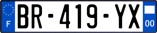 BR-419-YX