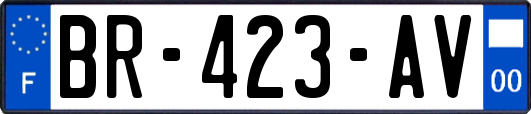 BR-423-AV