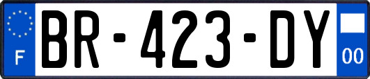 BR-423-DY