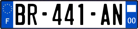 BR-441-AN