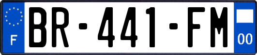 BR-441-FM