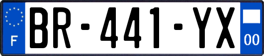 BR-441-YX