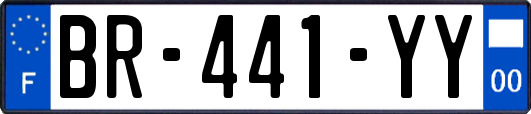 BR-441-YY
