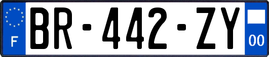 BR-442-ZY