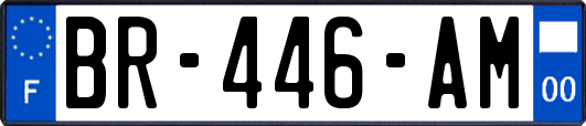 BR-446-AM