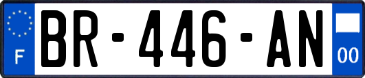 BR-446-AN