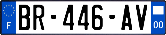 BR-446-AV