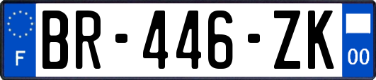 BR-446-ZK