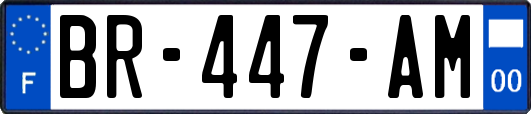 BR-447-AM