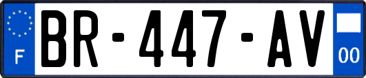 BR-447-AV