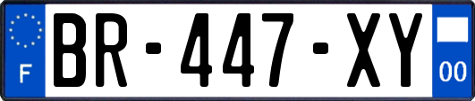 BR-447-XY