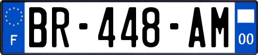 BR-448-AM