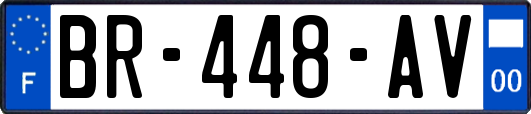 BR-448-AV