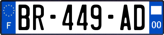 BR-449-AD