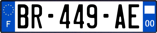 BR-449-AE