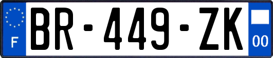 BR-449-ZK