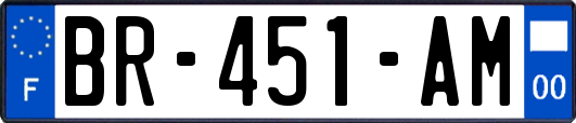 BR-451-AM