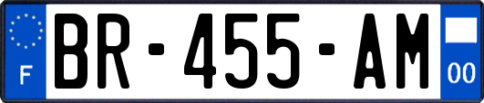 BR-455-AM
