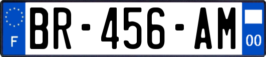 BR-456-AM
