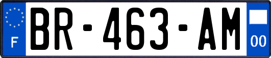 BR-463-AM