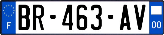BR-463-AV