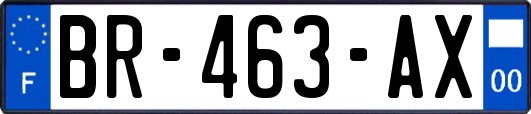 BR-463-AX