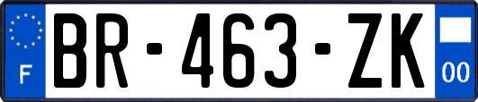 BR-463-ZK