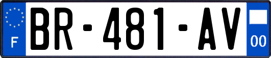 BR-481-AV