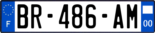 BR-486-AM