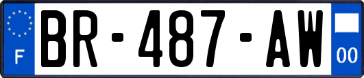 BR-487-AW