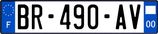 BR-490-AV