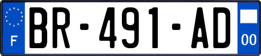 BR-491-AD