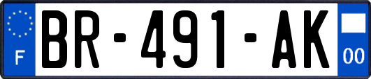 BR-491-AK