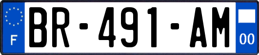 BR-491-AM