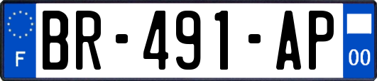 BR-491-AP