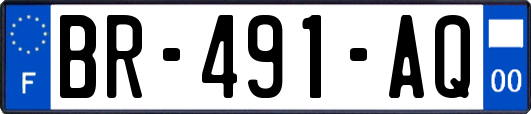 BR-491-AQ
