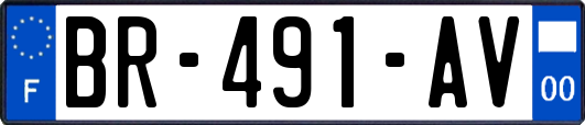 BR-491-AV