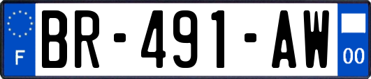 BR-491-AW