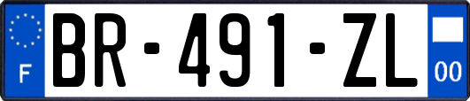 BR-491-ZL