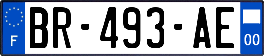 BR-493-AE