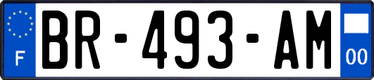 BR-493-AM
